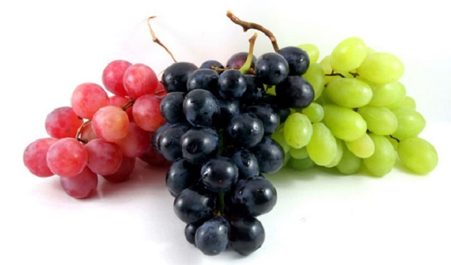 Những loại trái cây nào có thể dùng để ép lấy nước?