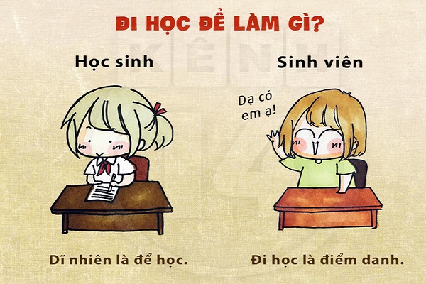 Những điểm khác biệt thú vị giữa học sinh và sinh viên