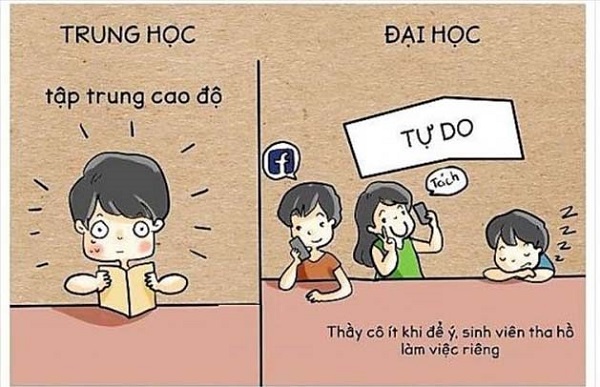 Những điểm khác biệt thú vị giữa học sinh và sinh viên