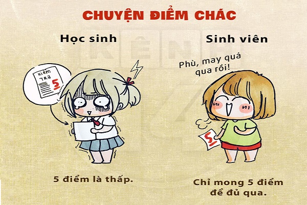 Những điểm khác biệt thú vị giữa học sinh và sinh viên