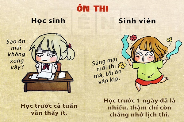 Những điểm khác biệt thú vị giữa học sinh và sinh viên