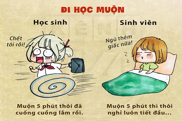 Những điểm khác biệt thú vị giữa học sinh và sinh viên