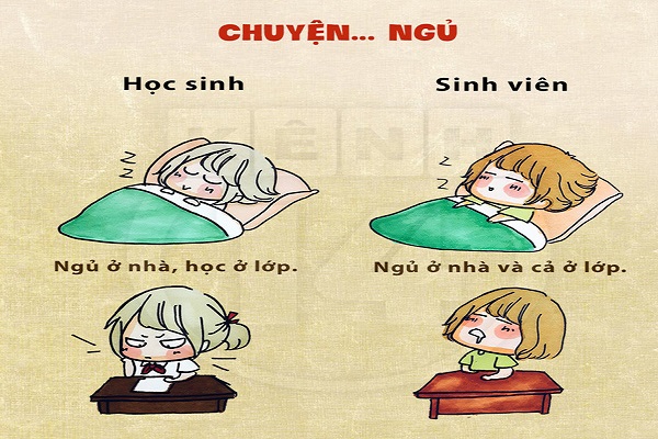 Những điểm khác biệt thú vị giữa học sinh và sinh viên