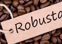 Cách rang cà phê robusta